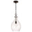 HomePlace Lighting Brentwood 1 Light Pendant, Black/Clear Seeded - 349011MB