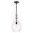 HomePlace Lighting Brentwood 1 Light Pendant, Black/Clear Water - 349012MB