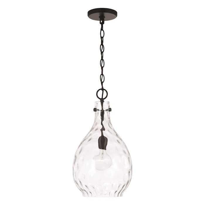 HomePlace Lighting Brentwood 1 Light Pendant, Black/Clear Water - 349012MB