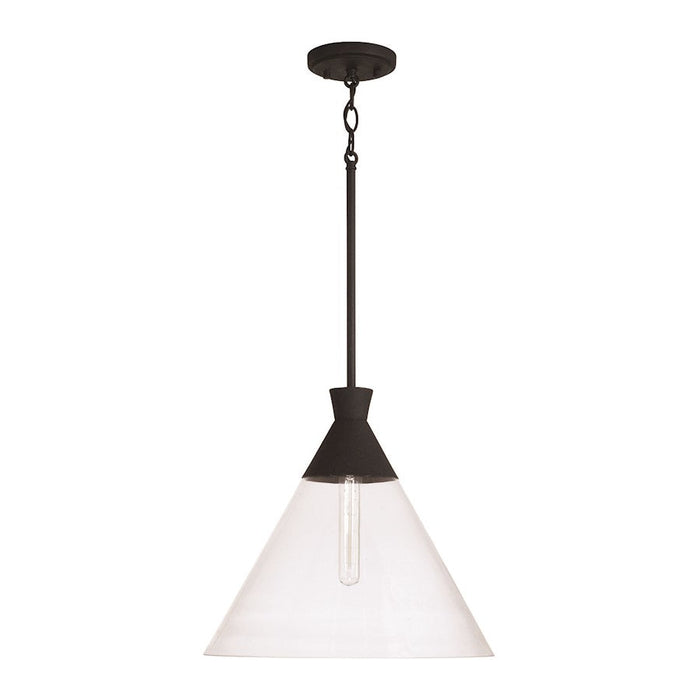 Capital Lighting Paloma 1 Light Pendant, Black/Clear - 350311XK