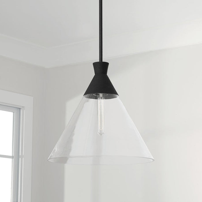 Capital Lighting Paloma 1 Light Pendant