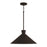 Capital Lighting Paloma 1 Light Pendant, Black - 350312XK