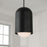 Capital Lighting Dolby 1 Light Pendant, Black Iron/Soft White