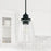 Capital Lighting Fallon 1 Light Pendant, Clear