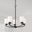 Capital Lighting Dixon Chandelier, Matte Black/Soft White