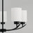 Capital Lighting Dixon Chandelier, Matte Black/Soft White