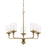 HomePlace by Capital Lighting Colton 5 Light Chandelier, Brass - 428851AD-451