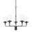 HomePlace by Capital Lighting Colton 5 Light Chandelier, Black - 428851MB-451