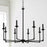 Capital Lighting Clint 8 Light Chandelier in Black Iron