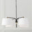 Capital Lighting Beckham 4 Light Chandelier, Glossy Black/Aged Brass