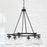 Capital Lighting Dillon 6 Light Chandelier, Clear