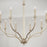 Capital Lighting Breigh Chandelier, Brushed Champagne