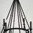 Capital Lighting Ogden Chandelier, Brushed Black Iron