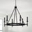 Capital Lighting Ogden 6 Light Chandelier, Brushed Black Iron