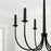 Capital Lighting Amara 6 Light Chandelier, Matte Black/Brass