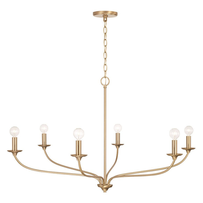 Capital Lighting Dolan Chandelier