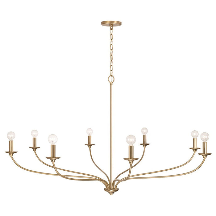 Capital Lighting Dolan Chandelier