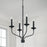 Capital Lighting Wilder 4 Light Chandelier, Black