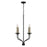 Capital Lighting Wilder 4 Light Chandelier, Black