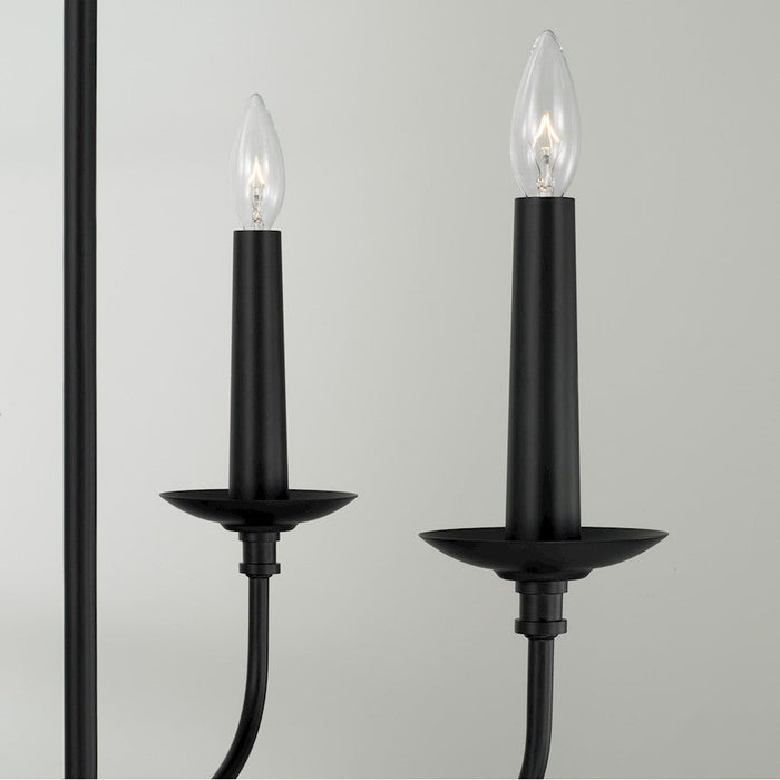 Capital Lighting Wilder 4 Light Chandelier, Black