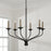 Capital Lighting Wilder 6 Light Chandelier, Black