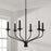 Capital Lighting Wilder 6 Light Chandelier, Black