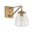 Capital Lighting Dillon 1 Light Sconce, Clear