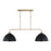 HomePlace Lighting Ross 2 Light Island, Brass/Black /White Interior - 852021AB