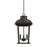 Capital Lighting Dunbar 3 Light Outdoor Hanging, Oiled Bronze - 927033OZ