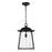 Capital Lighting Durham 1 Light Outdoor Hanging Lantern, Clear