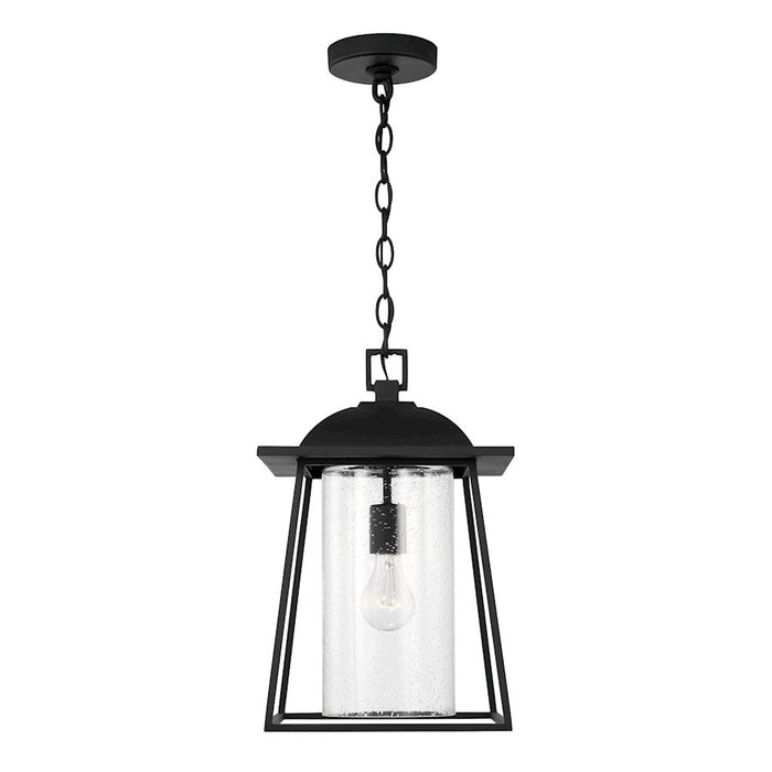 Capital Lighting Durham 1 Light Outdoor Hanging Lantern, Clear