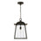 Capital Lighting Durham 1 Light Outdoor Hanging Lantern, Clear