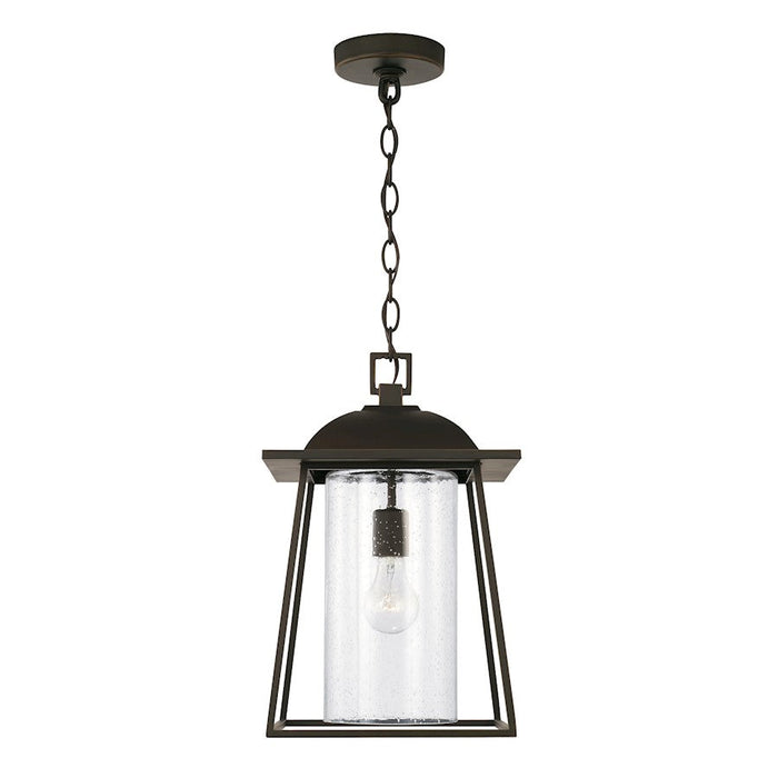 Capital Lighting Durham 1 Light Outdoor Hanging Lantern, Clear