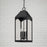 Capital Lighting Burton 4 Light Outdoor Hanging Lantern, Black/Clear