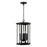 Capital Lighting Walton 4 Light Outdoor Hanging Lantern, Black/Clear - 946642BK