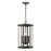 Capital Lighting Walton 4 Light Outdoor Hanging Lantern, Bronze/Clear - 946642OZ