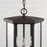 Capital Lighting Walton 4 Light Outdoor Hanging Lantern