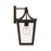 Capital Lighting Adair Outdoor Wall Lantern, Black/Clear