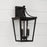 Capital Lighting Adair Outdoor Wall Lantern, Black/Clear