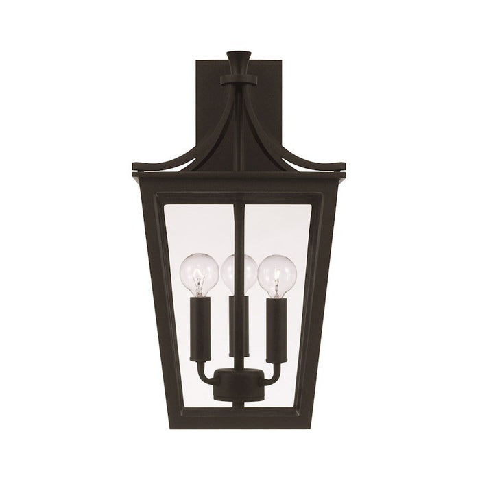 Capital Lighting Adair Outdoor Wall Lantern, Black/Clear