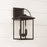 Capital Lighting Bryson Outdoor Wall Lantern, Black/Clear