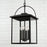 Capital Lighting Bryson 4 Light Outdoor Hanging Lantern, Black/Clear