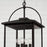 Capital Lighting Bryson 4 Light Outdoor Hanging Lantern, Black/Clear