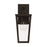 Capital Lighting Elliott 1 Light Outdoor Wall Lantern, Black