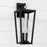 Capital Lighting Elliott 3 Light Outdoor Wall Lantern, Black/Clear