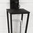 Capital Lighting Elliott 3 Light Outdoor Wall Lantern, Black/Clear