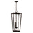 Capital Lighting Elliott 3 Light Outdoor Hanging Lantern, Black/Clear - 948132BK