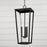 Capital Lighting Elliott 3 Light Outdoor Hanging Lantern, Black/Clear