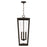 Capital Lighting Elliott 3 Light Outdoor Hanging Lantern, Black/Clear