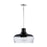 Austin Allen & Co. Gemini 1-Light Pendant, Black - 9D337A